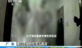 央视暗访爆料事件视频,揭露行业潜规则，真相令人震惊